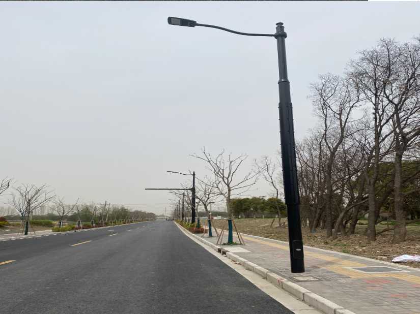 洪雅县上海综合杆 太阳能路灯工程